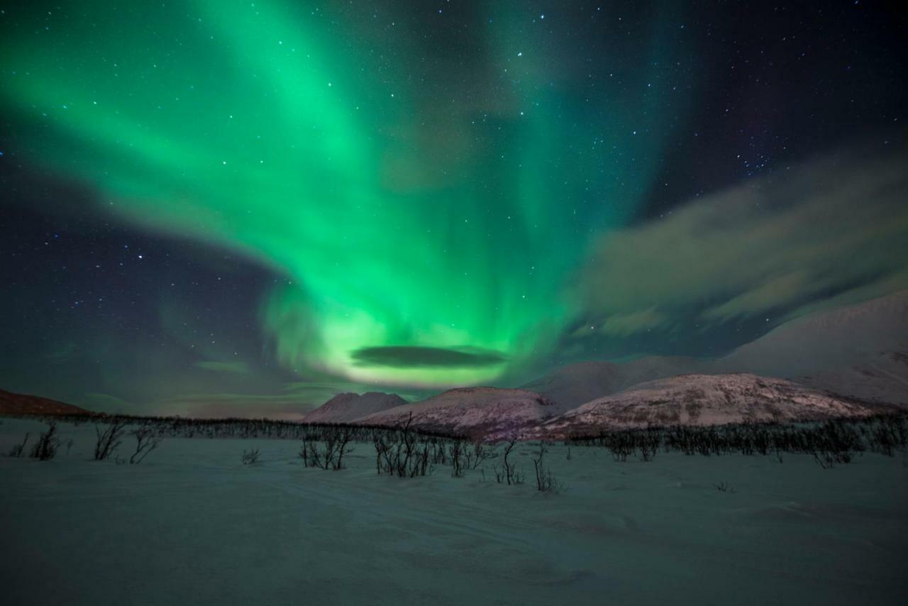 Nord-Lenangen Lyngen Experience Apartments מראה חיצוני תמונה